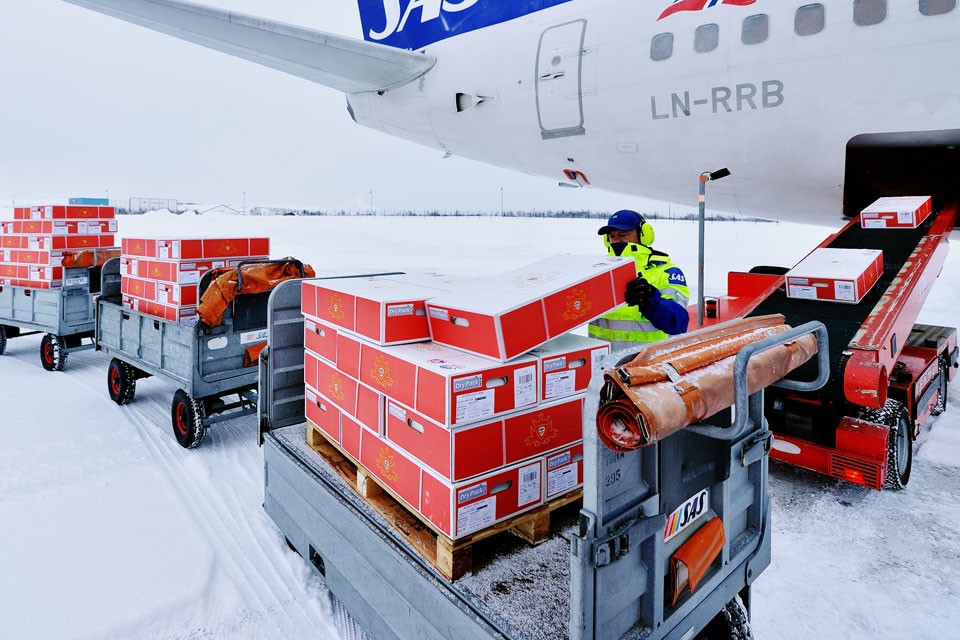 Loading of live king crab for air transport - Kirkenes Airport
