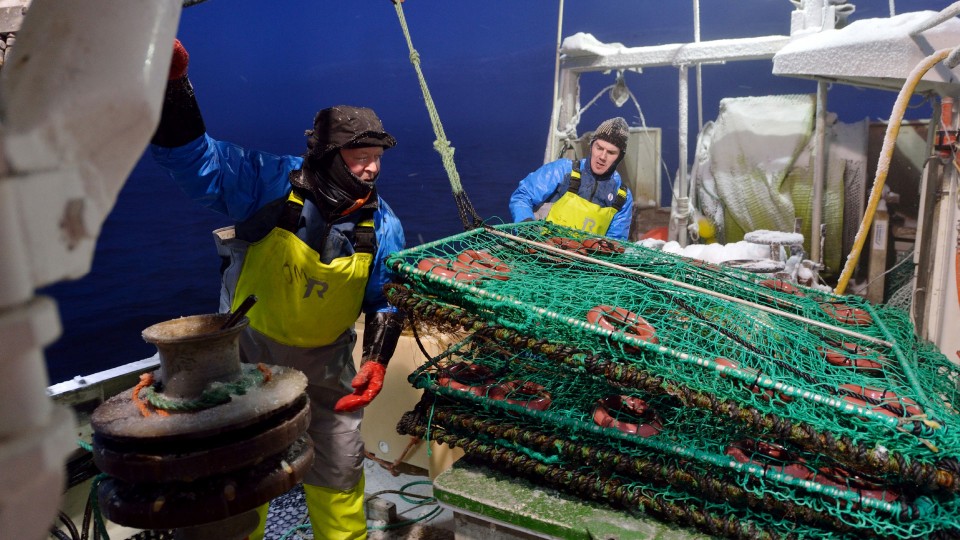 Fishing crabs for Norway King Crab